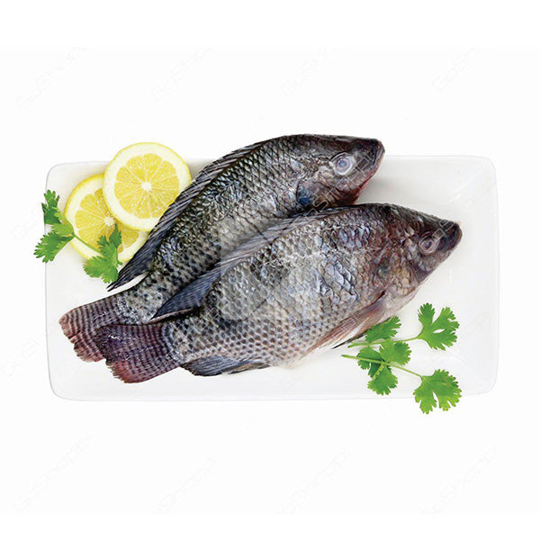 TILAPIA FISH PER KG