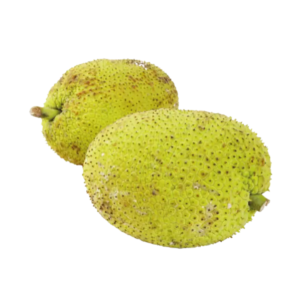 BREAD FRUIT KG