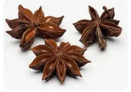 SHAAN-E- KITCHEN STAR ANIS WHOLE JAR 100G