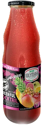SOLYMAR COCKTAIL NECTAR BOTTLE 250ML