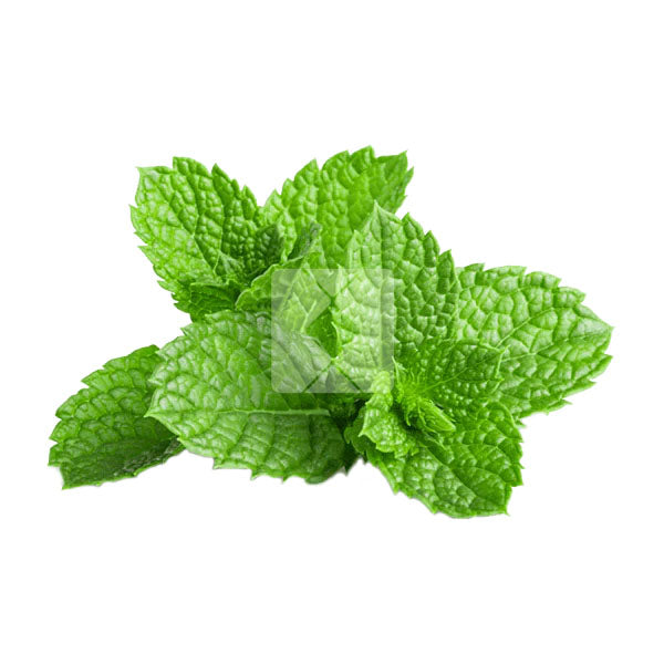 MINT LEAVES PER KG
