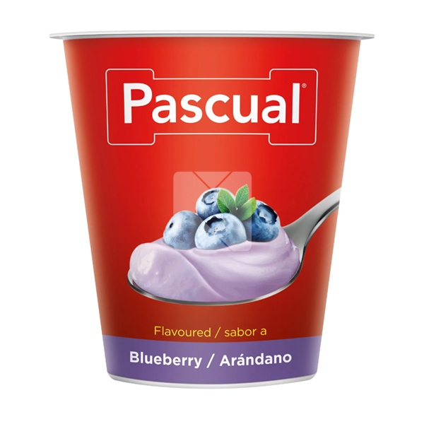 PASCUAL YOGURT BLUEBERRY FLAVOR 125G