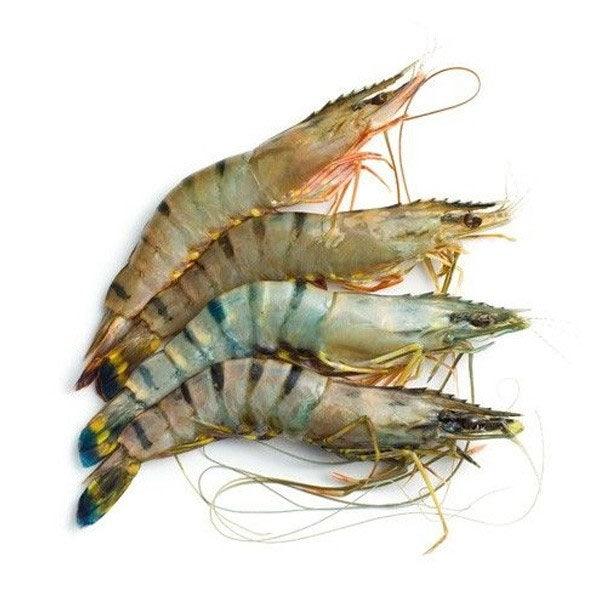 PRAWNS JUMBO U-20 1KG