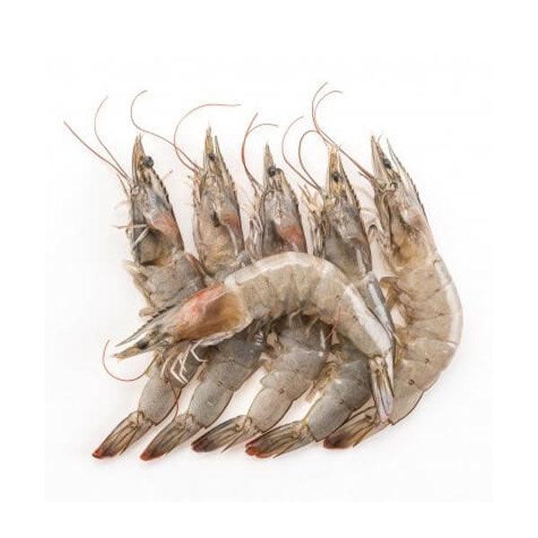 PRAWNS MEDIUM HEAD ON 20/30 1KG