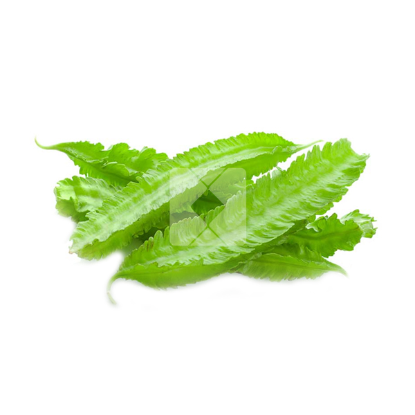 WING BEANS DAMABALA PER KG