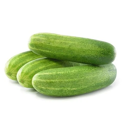 CUCUMBER NORMAL 1KG