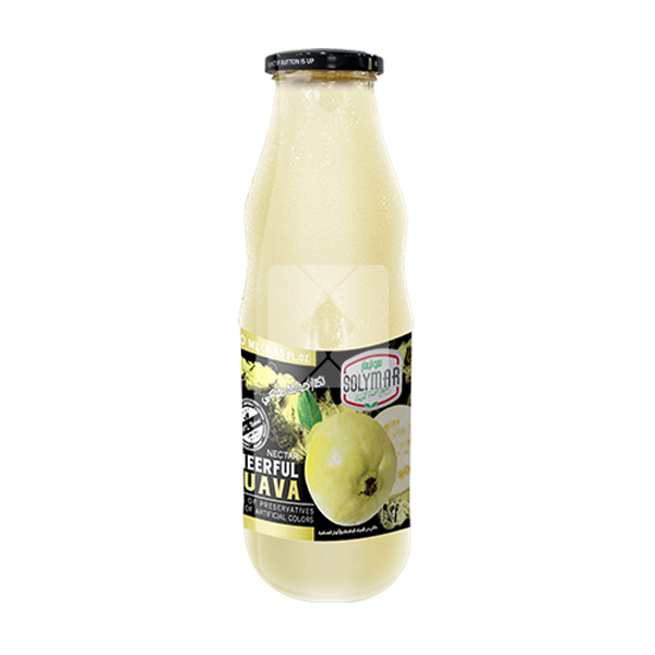 SOLYMAR GUAVA NECTAR 250ML