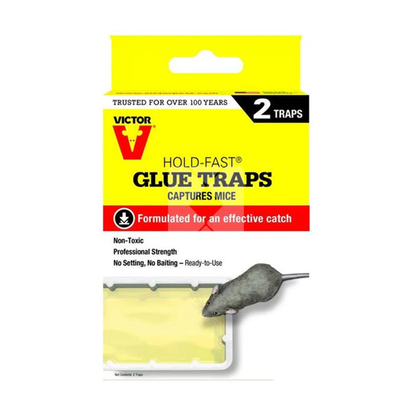 VICTERS BAITED GLUE TRAPS