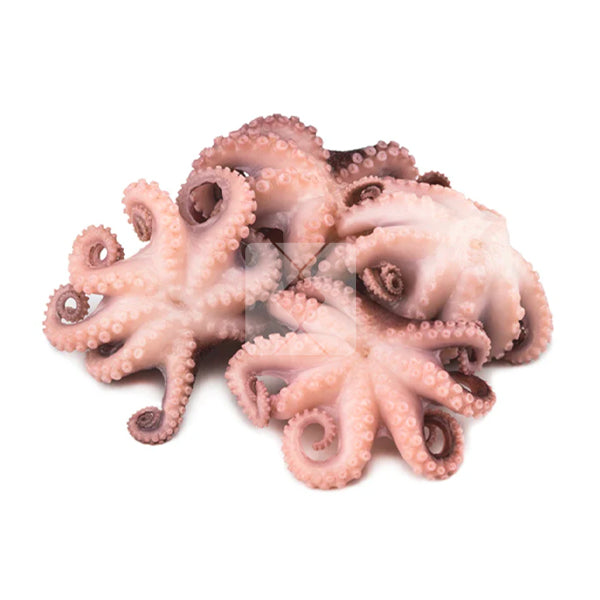 OCTOPUS BABY 1KG