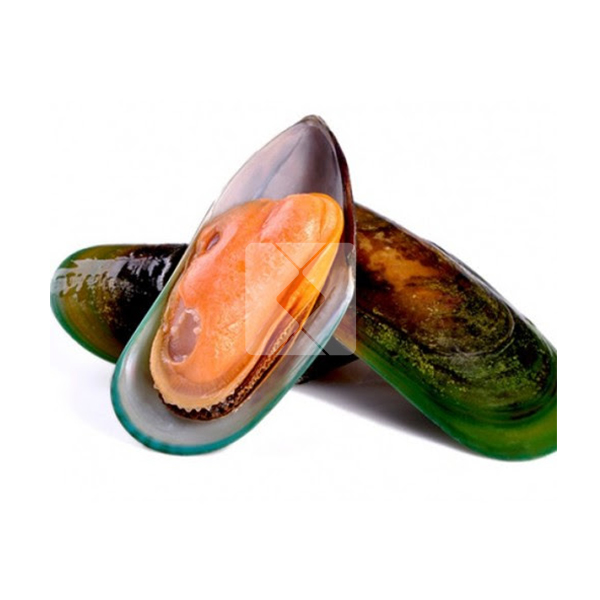 GREEN MUSSEL SHALF SHELL 1KG