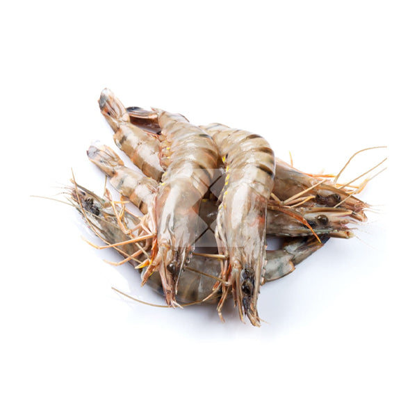 JUMBO PRAWNS U/10 1KG