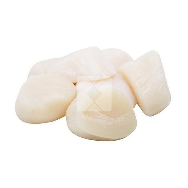 SCALLOPS 10/20 1KG