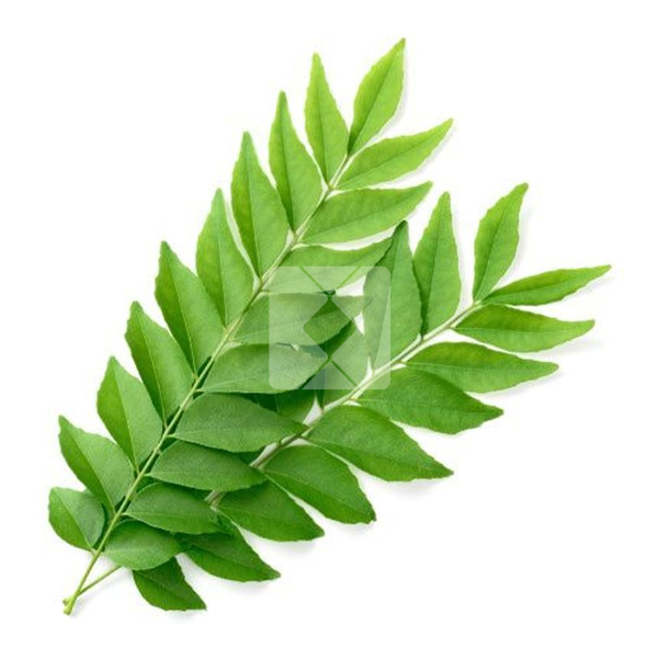 CURRY LEAVES PER KG