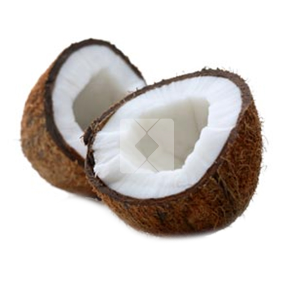 COCONUT - KAASHI