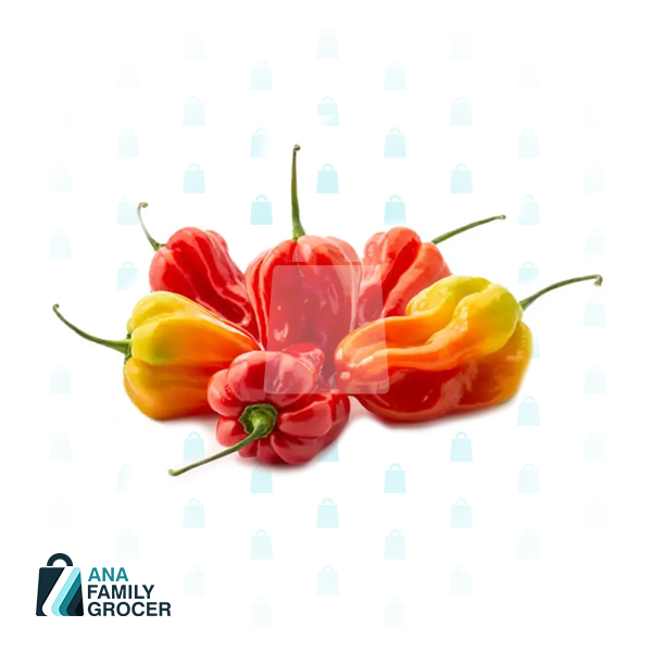 CHILLI (GITEYOMIRUS) KG