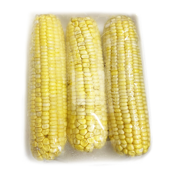 SWEET CORN EGYPT