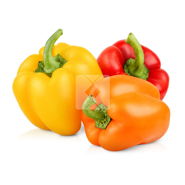 BEL PEPPER PER KG