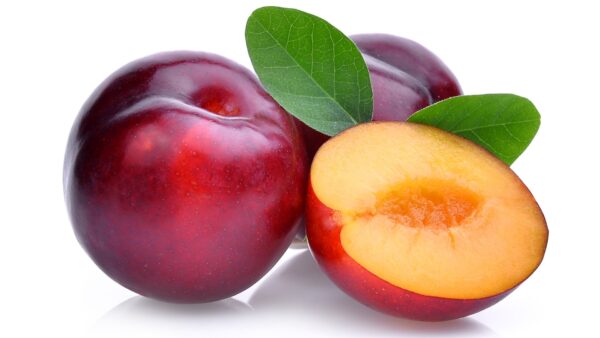 PLUM EGYPT PER KG