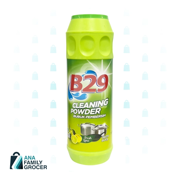 B29 SCOURING POWDER 650G