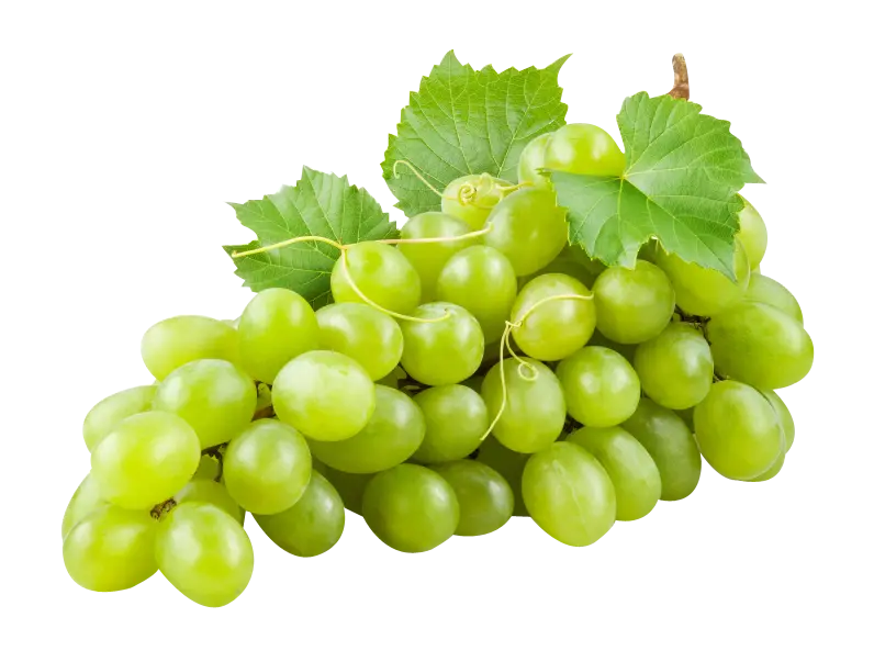 GREEN GRAPES SEEDLESS PER KG