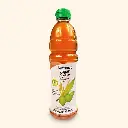 COCONUT SUGAR SYRUP 480ML