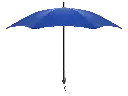 UMBRELLA VIP 30"