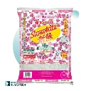 JASMINE SUNWHITE BERAS WANGI 5KG