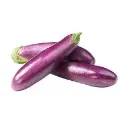 BRINJAL PER KG