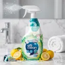 EFFI CLEAN TOILET BOWL CLEANER 500ML