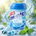 MENTOS PURE FRESH 19.5G