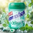 MENTOS PURE FRESH SPEARMINT CHEWING GUM 19.5G