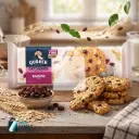 QUAKER COOKIES RAISINS 100G