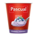 PASCUAL YOGURT BLUEBERRY FLAVOR 125GM