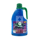 GREENHILL BLUEBERRY 1LTR