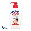 LIFEBUOY HANDWASH TOTAL 10 205ML
