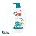 LIFEBUOY BODY WASH SEA MINERAL & SALT 900ML