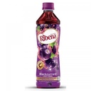 RIBENA RTD 450ML (REGULAR)  (copy)