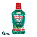 COLGATE PLAX MOUTHWASH FRESH MINT 500ML 