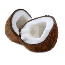  YOUNG COCONUT 