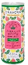 CRAVOVA JAMICAN MOJITO CAN 250ML   