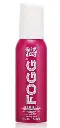 FOGG BODY SPRAY ESSENCE120ML 
